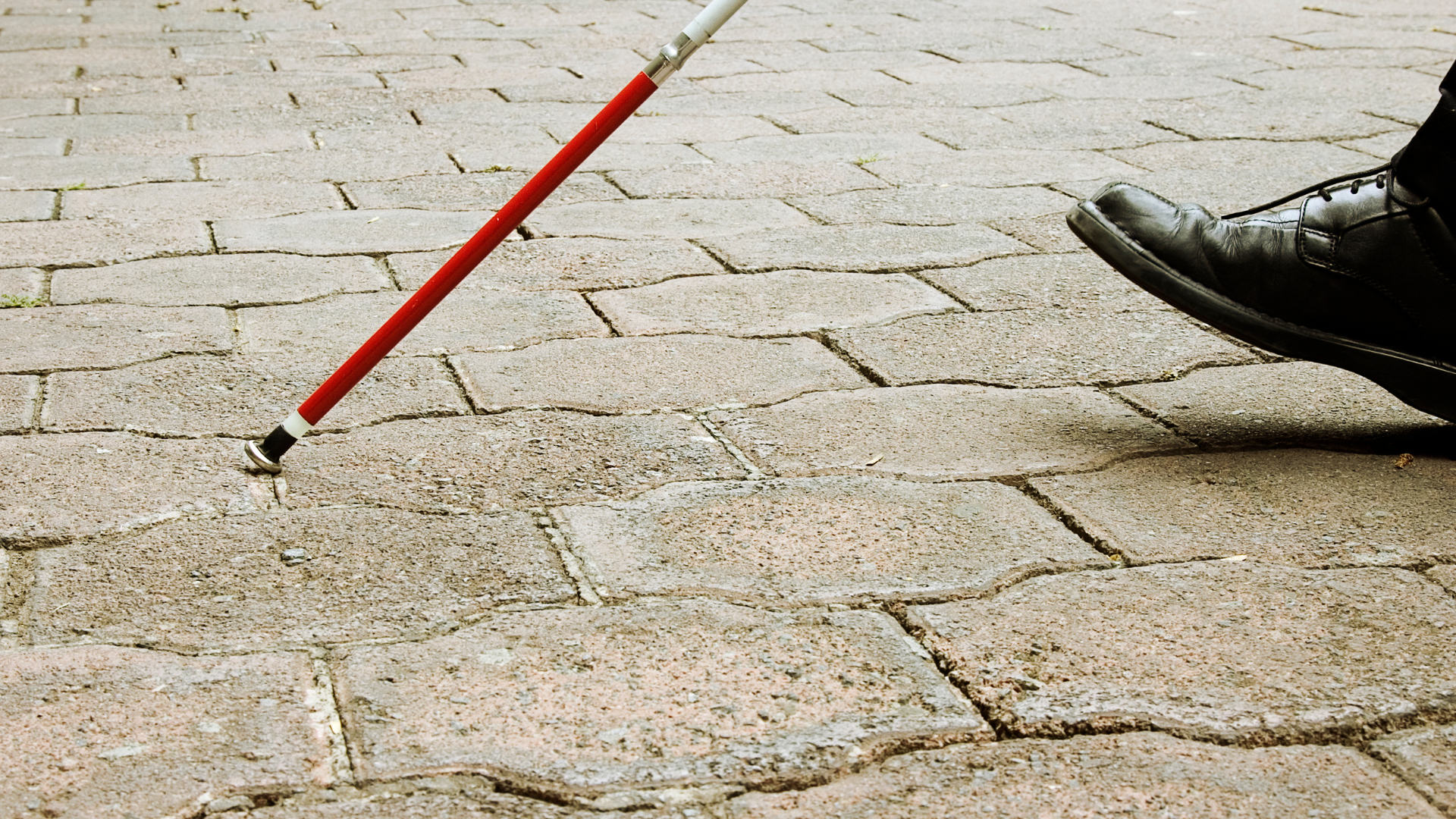Choosing a White Cane - Leader Dogs for the Blind