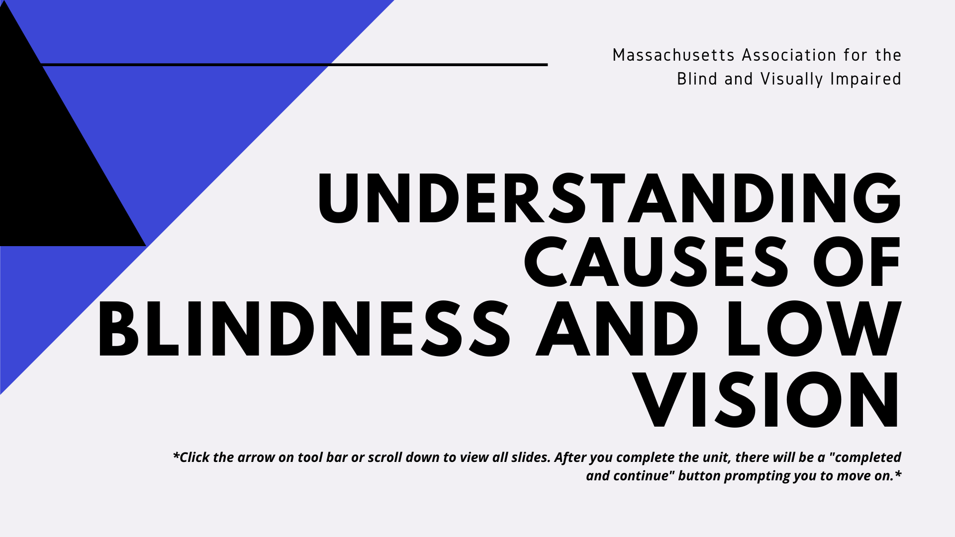 Volunteer Resources - Massachusetts Association For The Blind And ...